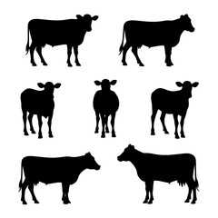 silhouettes of cows