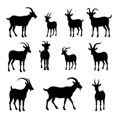 Set of different goats silhouettes isolated on white background