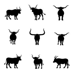 Set Cow silhouettes, Set of Cow silhouettes in various poses. isolated vector on white background.