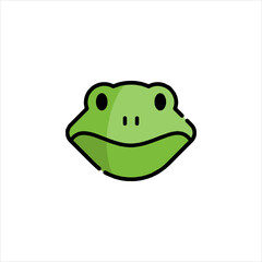 frog on white background
