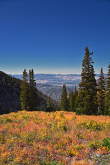 Box Elder Peak hiking views from trail, American Fork Canyon. Lone Peak, Mt Timpanogos, Wasatch...