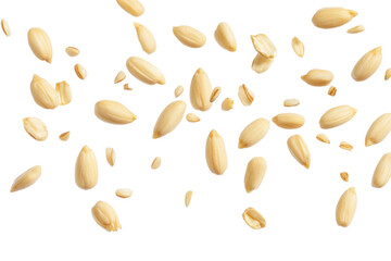 Pine Nuts Falling Small And I... on a transparent background