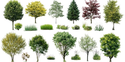 A set of various color tone trees on a transparent background