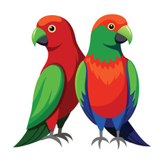 Male and female parrots vector.