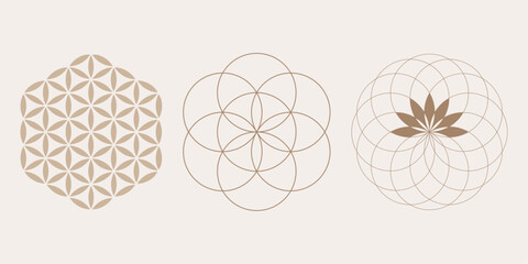 Yantra Mandala seed of life, Flower of Life, Mystical Lotus, set Sacred Geometry, symbols of harmony and balance. Retro style, vector isolated on white background