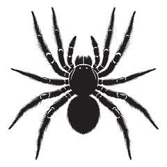 Silent Spider silhouette, waiting for the perfect moment to strike – Spider illustration – Spider vector – Insect silhouette

