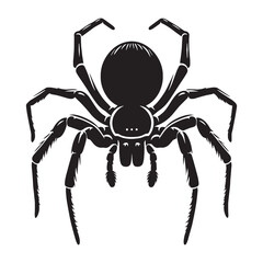 Lurking Spider silhouette, hidden in the darkest corners – Spider illustration – Spider vector – Insect silhouette

