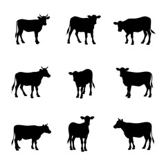 Set Cow silhouettes, Set of jersey cow silhouettes in various poses. isolated vector on white background.