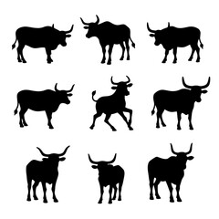 Set Cow silhouettes, Set of jersey cow silhouettes in various poses. isolated vector on white background.