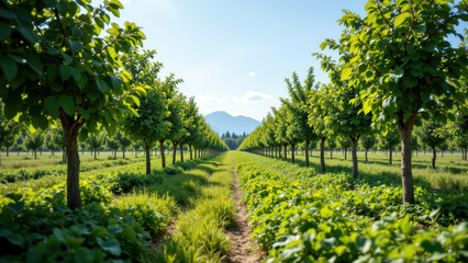 Naklejka premium A lush green field with rows of leafy plants leading to a picturesque landscape under a clear blue sky.