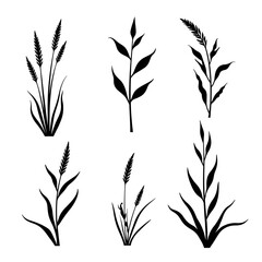 seamless pattern with branches of wheat, Set of silhouettes of various leaves
