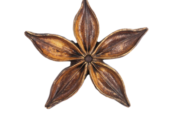Star Anise With Perfect Star... on a transparent background