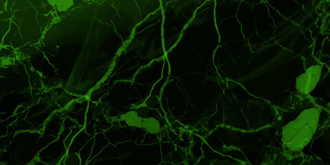 abstract background of green marble tile with a rough texture Closeup surface abstract marble pattern at the marble stone floor texture background