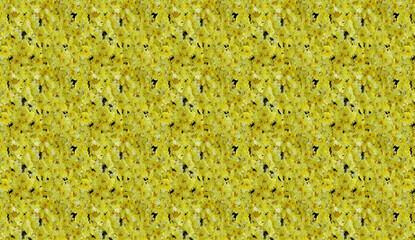 Seamless pattern of densely packed, blooming yellow flowers creates a vibrant and cheerful backdrop