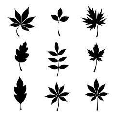 Set of leaves, Set of silhouettes of various leaves