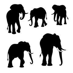 Elephants silhouettes vector, Set elephant silhouettes