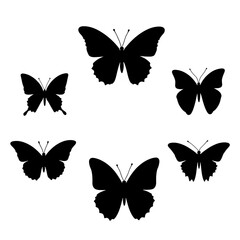 Set of vector butterflies, Collection of butterflies, Set butterfly silhouettes