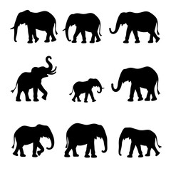 Elephants silhouettes vector, Set elephant silhouettes