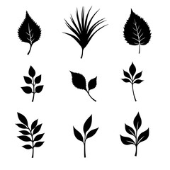 Set of leaves, Set of silhouettes of various leaves