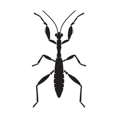 Stealthy Stick Insect silhouette, hidden in the undergrowth – Stick Insect illustration – Stick Insect vector – Insect silhouette

