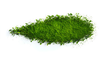 Brushstroke of bush isolated on white background, top view