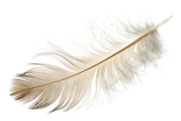 Obraz premium Soft white feather close up on White background for artistic or conceptual design PNG