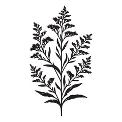 Delicate flowering plant vector image in detailed silhouette