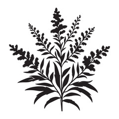 Naklejka premium Goldenrod Flower Silhouette Vector Illustration Black and White Design