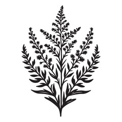 Detailed Branch of Plant Vector Illustration for Decoration