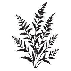 Delicate Goldenrod Plant Silhouette Illustration for Garden and Floral Design