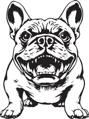 French bulldog. Vector illustration	