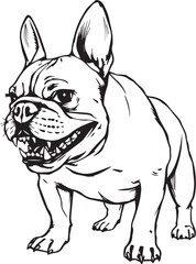 French bulldog. Vector illustration	