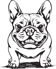 French bulldog. Vector illustration	