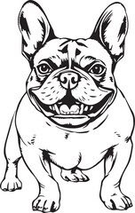 French bulldog. Vector illustration	