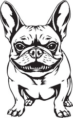 French bulldog. Vector illustration	