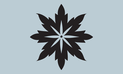 snowflake on a black background