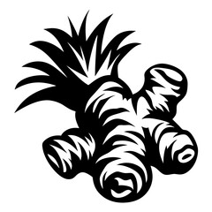 Black and white depiction of a ginger root with green shoots