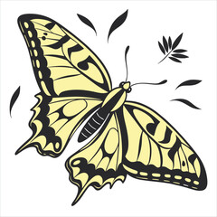 butterfly vector illustration