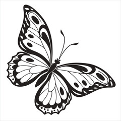 butterfly vector illustration