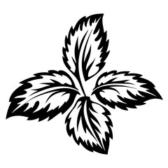 Black and White Stylized Leaf Design with Detailed Vein Patterns