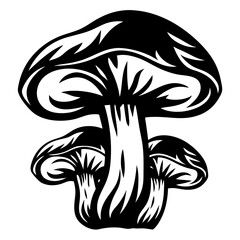 Obraz premium Black and White Illustration of Three Fungi in a Graphic Style