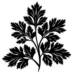 Black silhouette image of a parsley branch on a white background