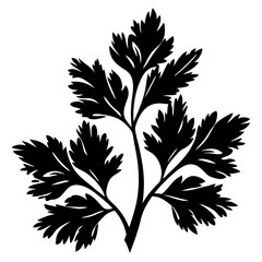 Stylized Parsley Illustration with Crisp Edges and High Contrast Black and White