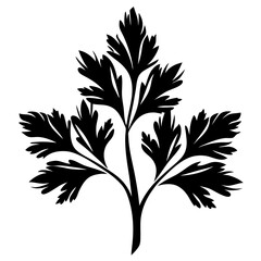 Black Silhouette Illustration of a Parsley Herb Plant on White Background