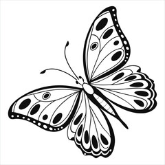 black butterfly vector illustration
