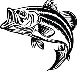 Bass Fishing , Fishing Clipart