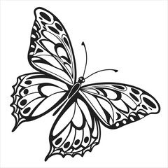 black butterfly vector illustration