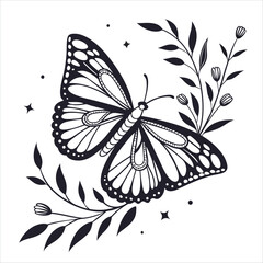 butterfly on a white background