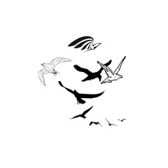 A flock of birds flying in formation, symbolizing freedom, unity, nature, movement, peace, and natural beauty.