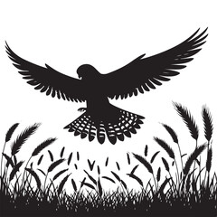 Silhouette hawk flying illustration over wheat field nature scene